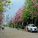 �����̻�