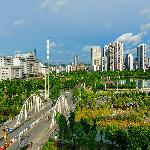 �����̻�