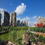 �����̻�